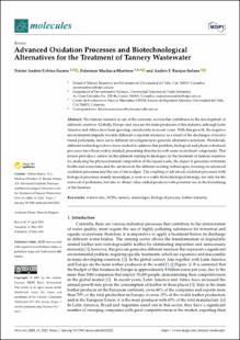 Portada Advanced Oxidation Processes and Biotechnological Alternatives for the Treatment of Tannery Wastewater