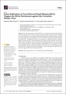 Portada Foliar Infiltration of Virus-Derived Small Hairpin RNAs Triggers the RNAi Mechanism against the Cucumber Mosaic Virus