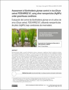 Portada Evaluación del control de Burkholderia glumae en arroz (Oryza sativa) FEDEARROZ 67, utilizando nanopartículas de plata (AgNPs) en condiciones de invernadero